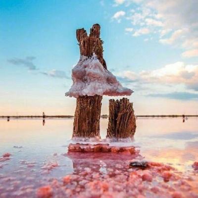 雷竞技app官方版下载